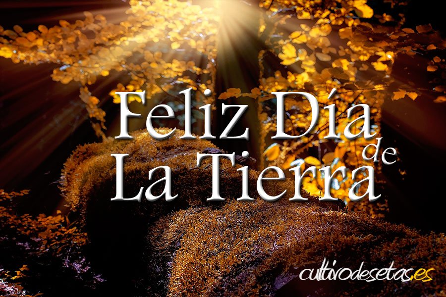 CultivodeSetas's tweet photo. Pasar un bonito día ;)) https://t.co/6bqzN1Ez0E