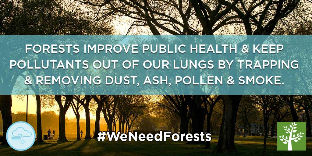 Forests can improve heath &amp; keep pollutants out of our lungs by trapping &amp; removing them from the air #WeNeedForests