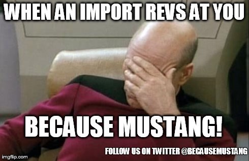 BecauseMustang's tweet image. This will be us this weekend. #MustangProblems #BecauseMustang