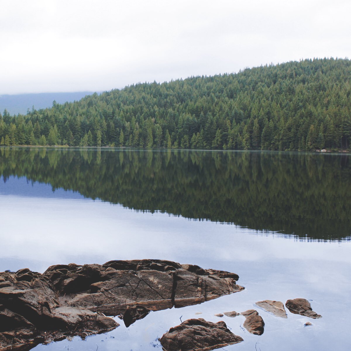 Flip_Reel's tweet image. Do you support clean water to fish in? #EarthDay #FlipReel