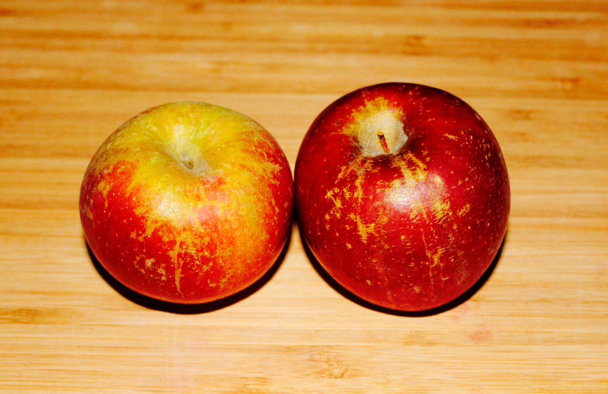 Join us to #SaveUglyApples this #EarthDay. Post your rescued apples &amp; tag <a href="/TreeTopInc/">TreeTopInc</a> and <a href="/UglyFruitAndVeg/">Ugly Fruit and Veg</a>. RT! #ad