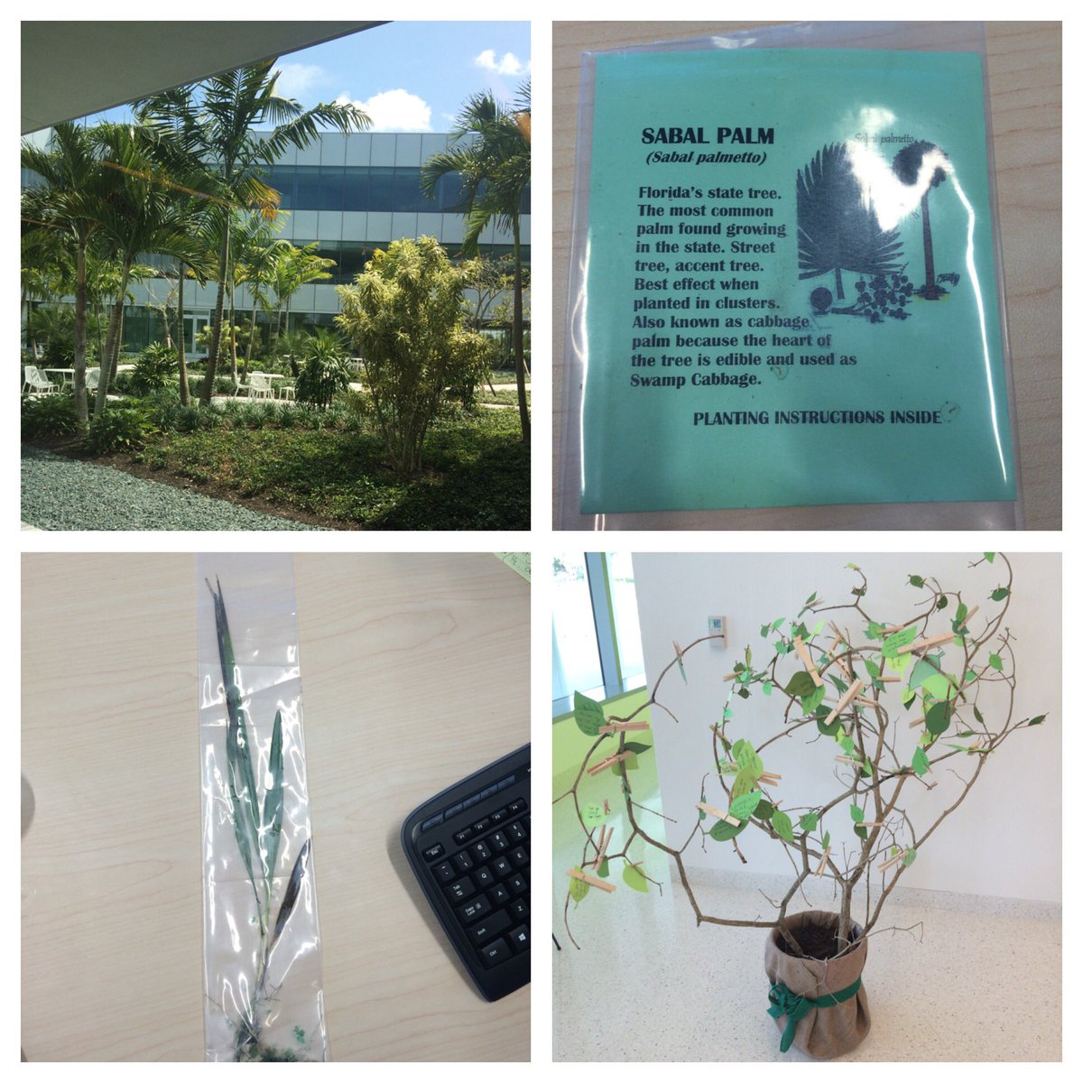 Feabhsu's tweet image. Proud to work for a company always doing their part for sustainability @Hertz #WorldEarthDay #employeecommitment