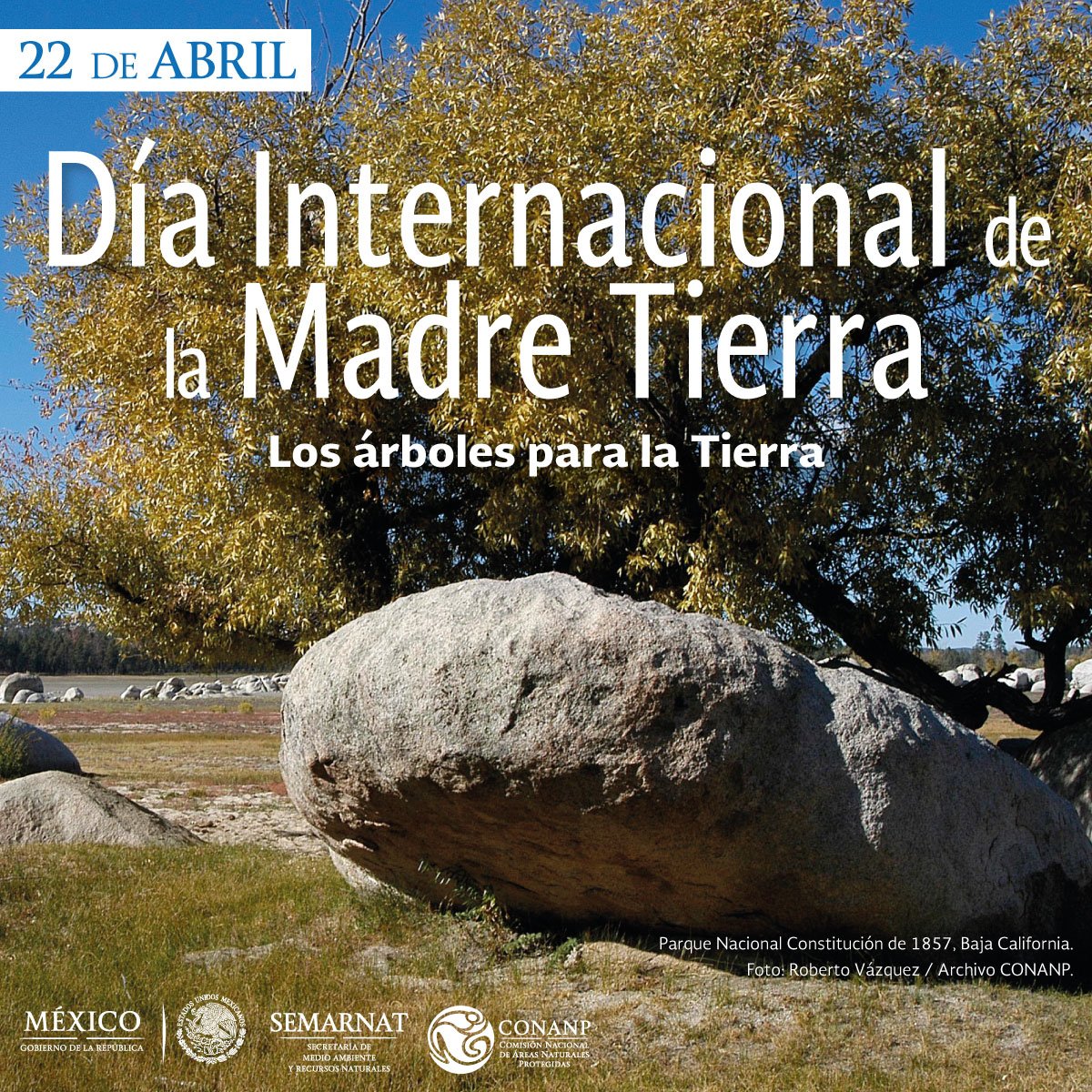 CONANP_mx's tweet photo. #BuenViernes
El 22 de abril celebramos el #DíaDeLaMadreTierra 🌎 🌍 🌏 https://t.co/sGelYAmdNN