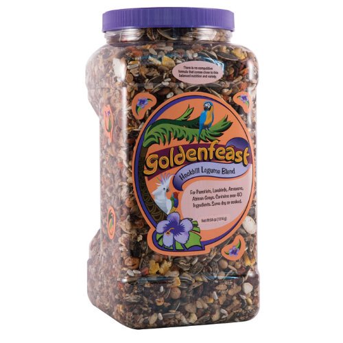birdshub's tweet photo. #Goldenfeast Hookbill Food Legume #Food #Hookbill #Legume @Goldenfeast https://t.co/l4Ivq23nHd https://t.co/aY2eNiVqjV