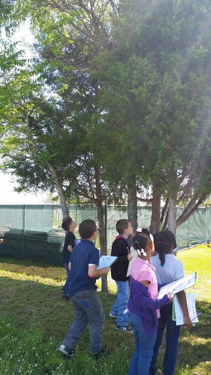 rangerdanger101's tweet image. First grade went on a nature hike! #investigatinourworld @CESTinyTigers @Commerce_ISD