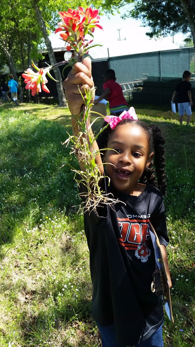 rangerdanger101's tweet image. First grade went on a nature hike! #investigatinourworld @CESTinyTigers @Commerce_ISD