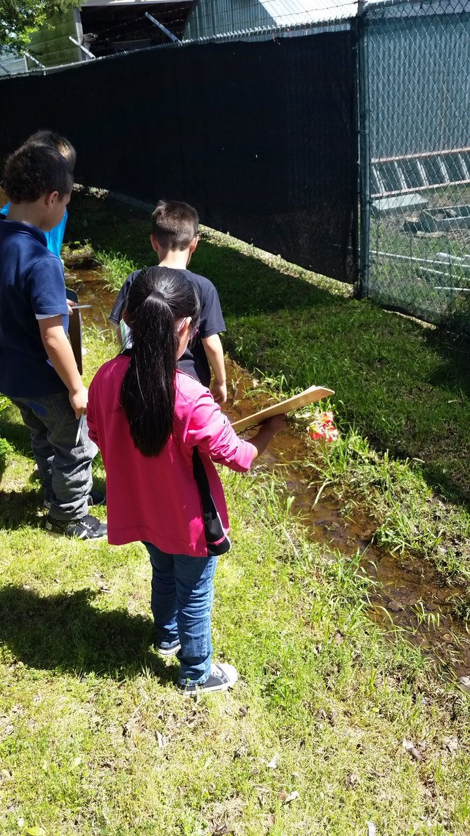 rangerdanger101's tweet image. First grade went on a nature hike! #investigatinourworld @CESTinyTigers @Commerce_ISD