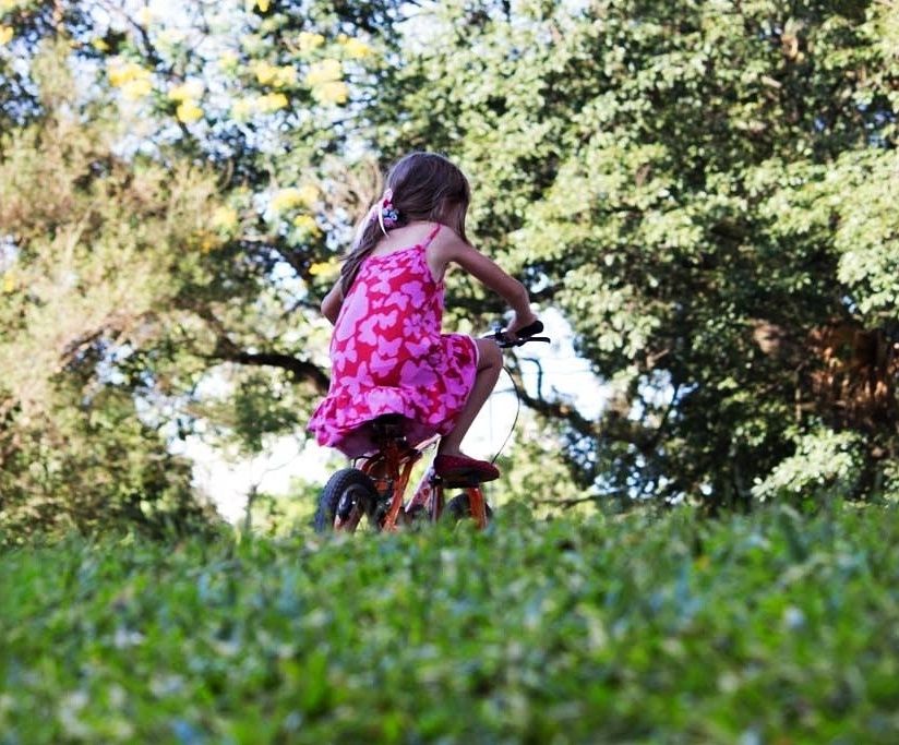 phottoframe's tweet image. #photograph #photocool #photography #photolike #brazil #sp #ibirapuerapark #nature #myheart #lovethis 📷💜