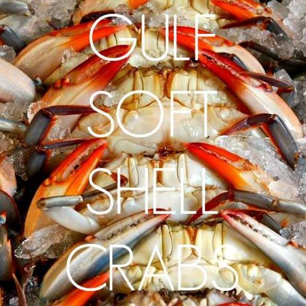 Gulf Coast Seafood (EatGulfSeafood) Twitter