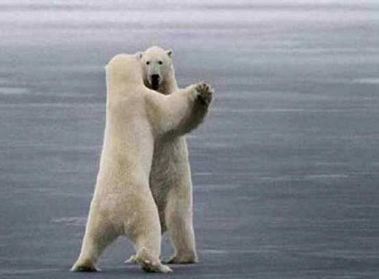 Ty <a href="/pintsize73/">Marie</a> @ldd2407 Let's dance it's Friday :-)