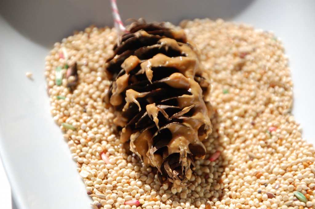 Celebrate #EarthDay with the kids by making a simple pine cone bird feeder:   tinkerlab.com/two-creative-o… #kids #crafts