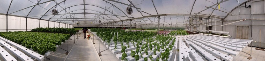 A cool pano pic from today at <a href="/SaladDaysPro/">Salad Days Produce</a> had to get my fresh local produce for <a href="/DerekAndSusan/">Tedeschi Trucks Band</a> weekend