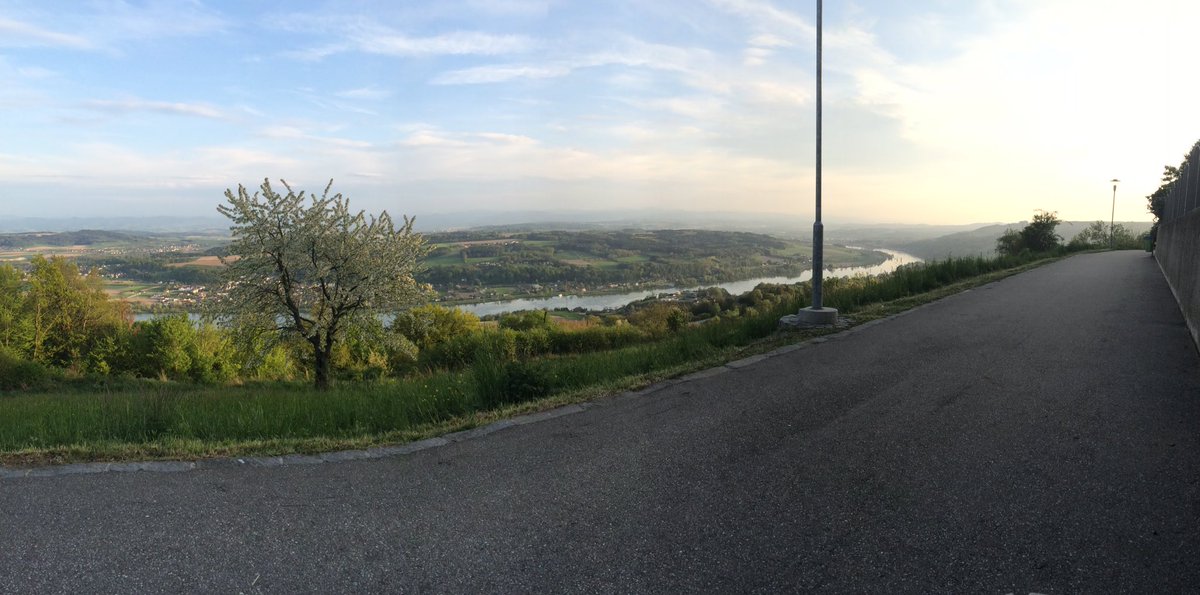 _Redoox's tweet image. DAAAAMMMN