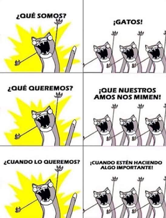 GabyPlabnik's tweet photo. Para vos @fetcheves https://t.co/vF8TAgMc3S