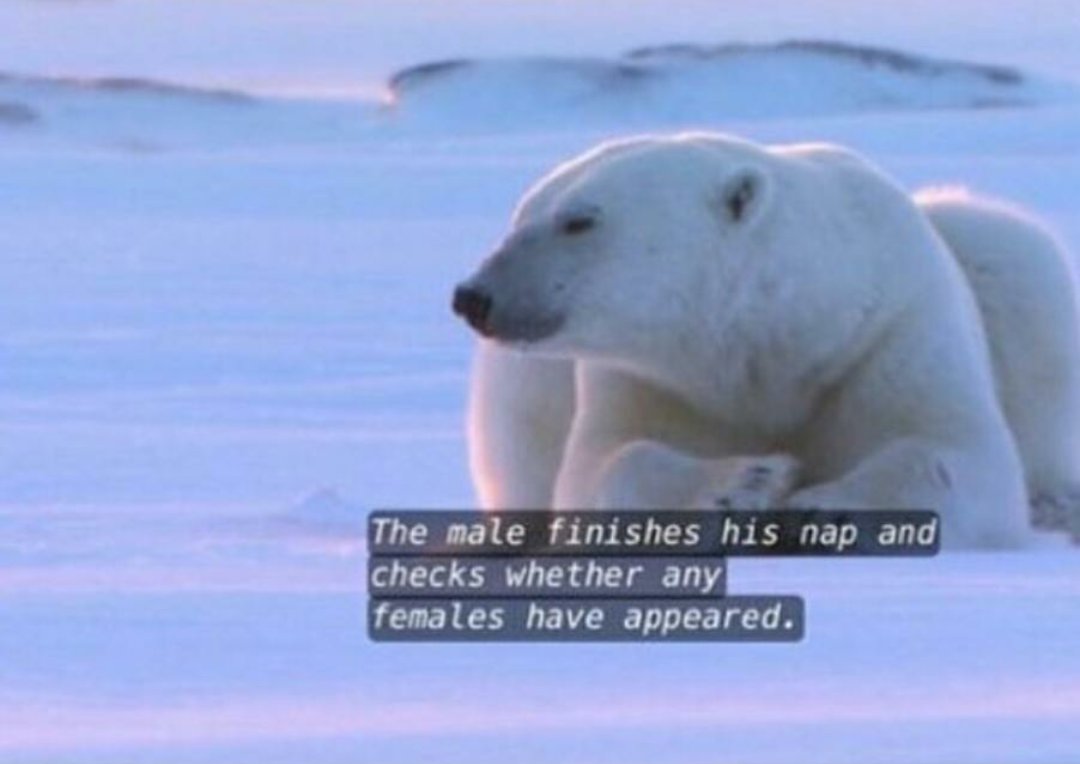 Doublelift1's tweet image. me