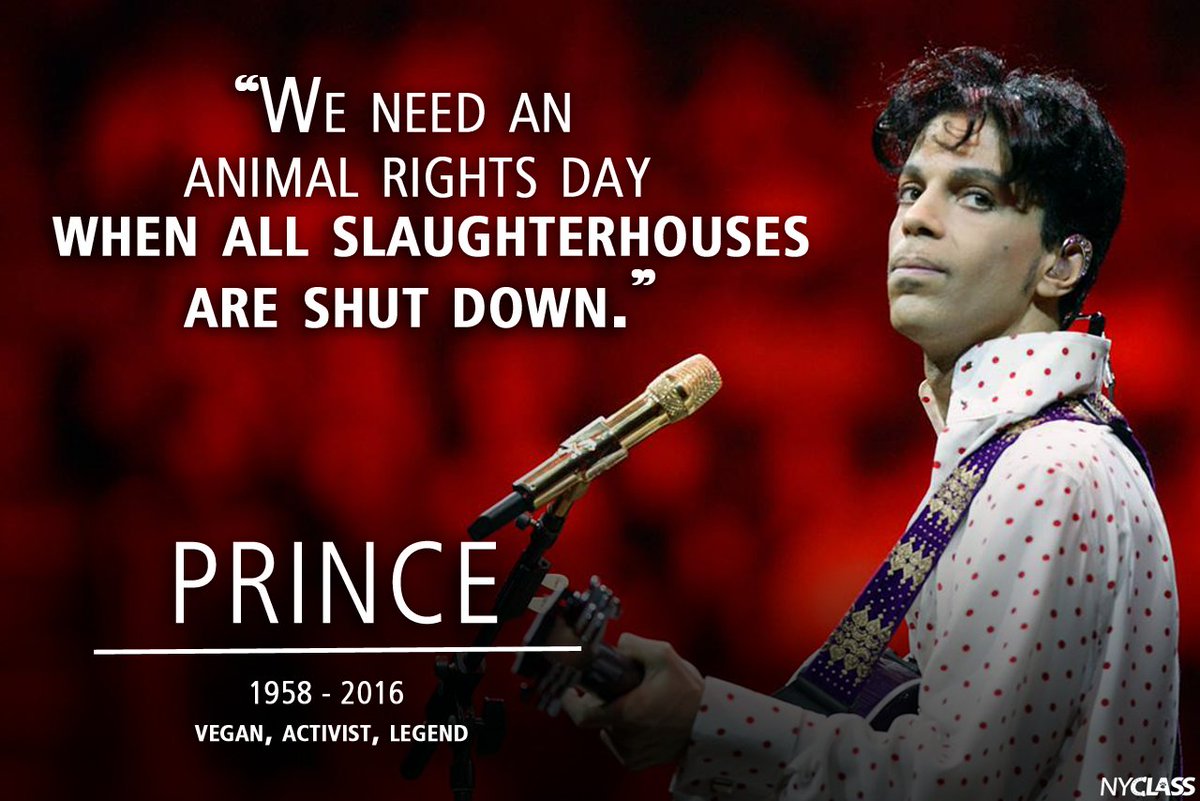 nyclass's tweet photo. We're working on it.
We will never give up.
💜💜💜💜💜💜💜

#PrinceGoneTooSoon
#PurpleForPrince https://t.co/VnVF7U79FL