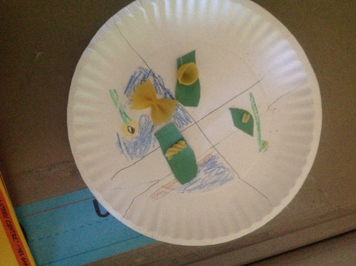 purvistce's tweet photo. Demonstrating the butterfly life cycle https://t.co/9GuA5f68qX