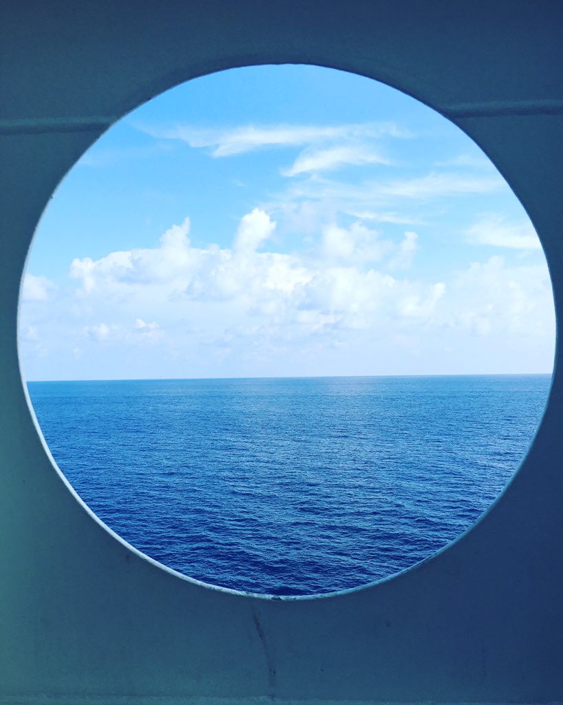 1 more day until we reach land 🐬🌎 #cruise #srilanka