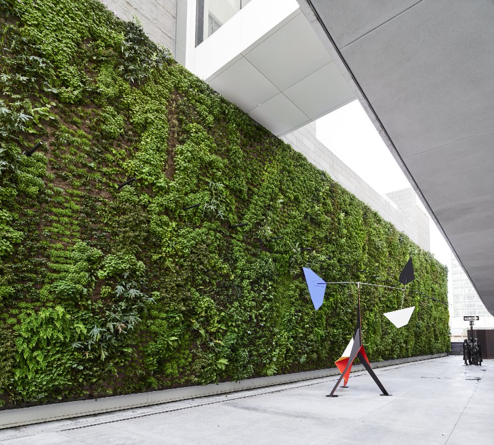 .<a href="/SFMOMA/">SFMOMA</a>'s new vertical garden is the largest living wall in the United States modernluxury.com/san-francisco/…