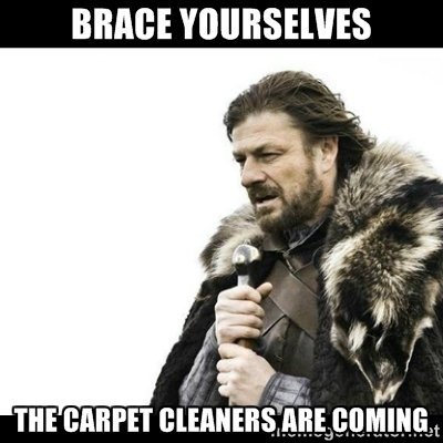 tigrpawcs's tweet photo. Friday's are our busiest days &amp; we are happy to get your carpets #sofresh &amp; #soclean for your weekends #tigerpaw https://t.co/MLGFdBrprj