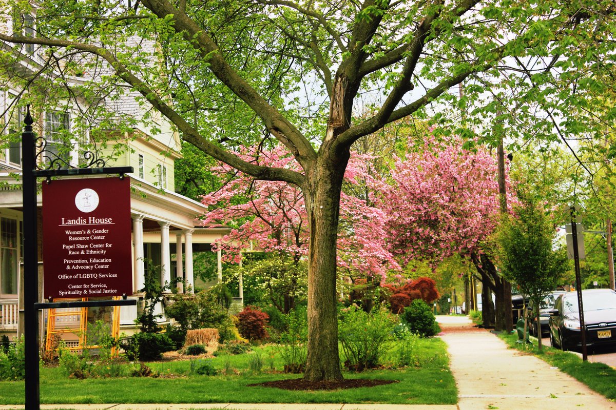 Popel Shaw Center tweet media