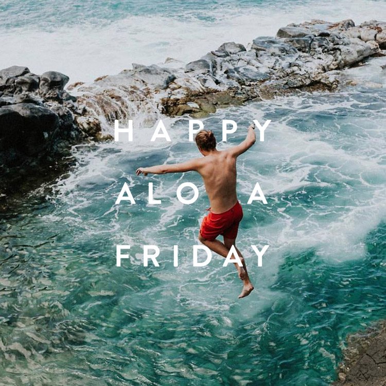 uhmanoa's tweet photo. Happy #AlohaFriday! https://t.co/mbW9xh6LIf