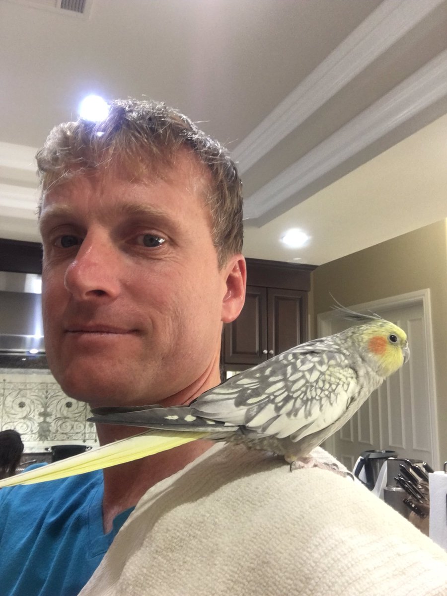 grayner01's tweet image. My bird tweeted me today.