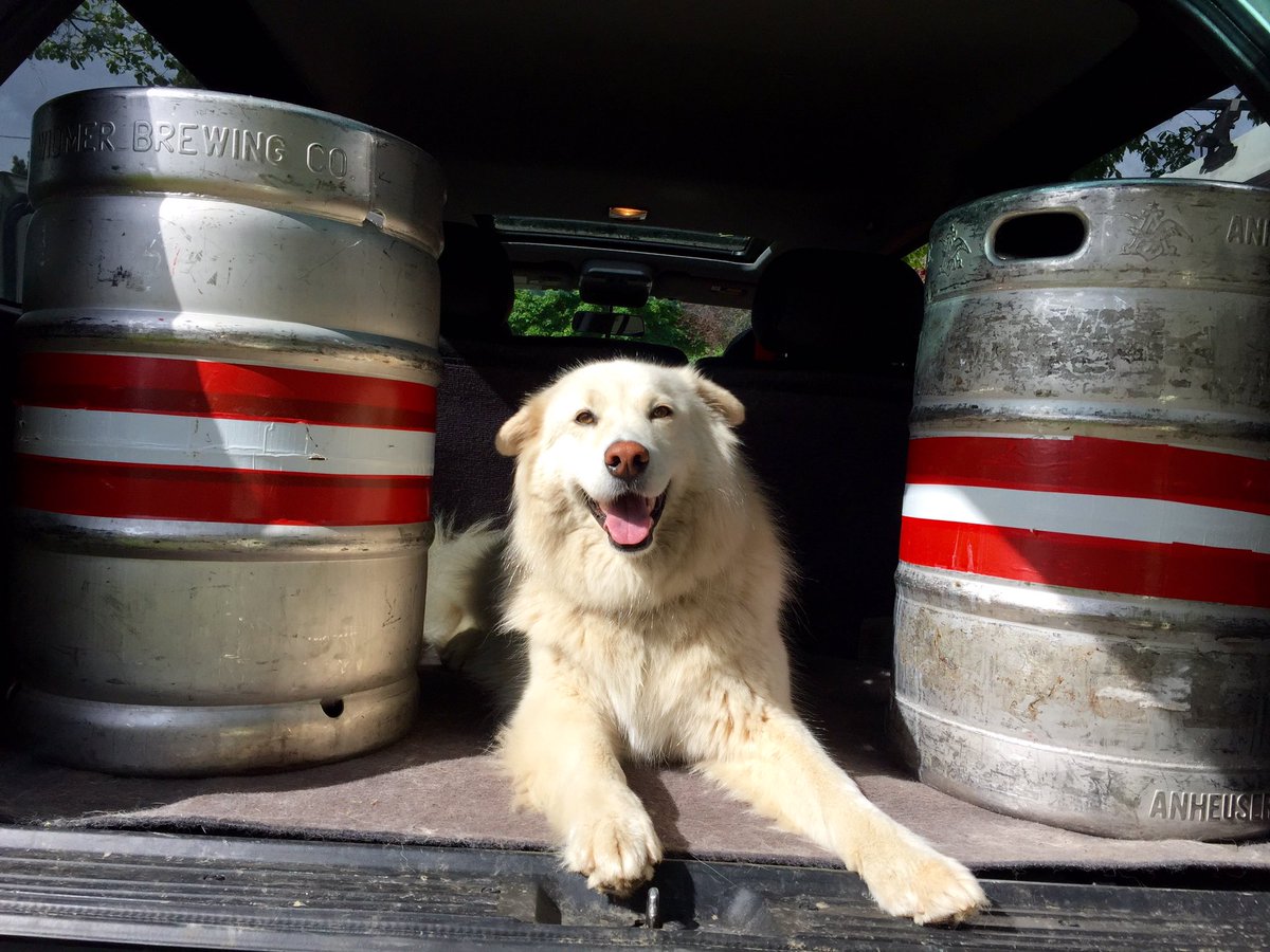 RedOxBrewing's tweet photo. @CaptainNeon We're on the way with a keg of ISA and a keg of Sunporch! #brewfest https://t.co/fCtiXu2KNI