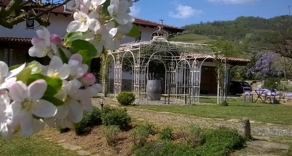 TreCollineLanga's tweet photo. @repubblicait EnzoGrossi @Trecollineinlangait camminata e AgriapericenaQuanto fa bene l'arte alla salute?Domenica24 https://t.co/gDR9js4TWy