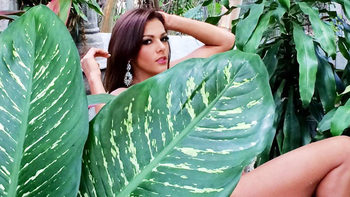 unifamosos's tweet photo. Nathalia podría salir de #NBLVIP pero aaantes, mejor disfrutemos su bikinazo >>>
https://t.co/Fyrwdu9uf9 https://t.co/aGb5Xq5otk