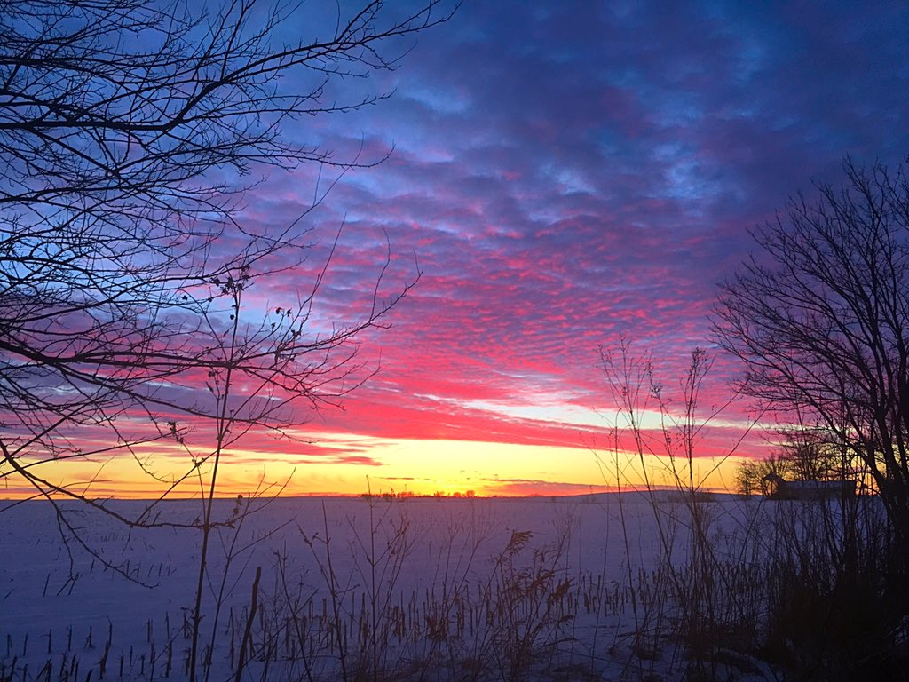 jsulzberger's tweet photo. Happy Earth Day 🌎 Couldn't help but share 4 of the 10000 pics of the sky i have on my phone 🌄🌅🌤🌾 https://t.co/9SLt39tvWO