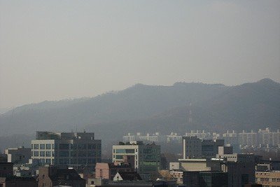 [환경성질환 아토피·천식환자 황사 미세먼지 주의]요즘 같이 날씨가 따듯해지고 꽃이 피는 봄이 되면 대표적인 환경성질환 증상.bizeco.kr/news/newsview.…