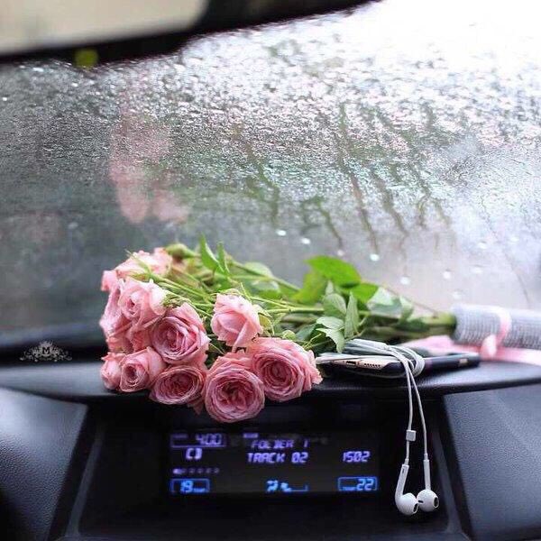 الحمدلله على ابسط النِعم واعظمها💜
