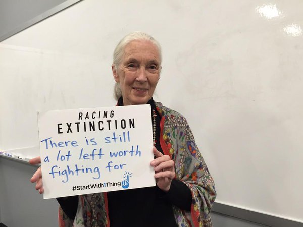 JaneGoodallInst's tweet photo. "There is still a lot left worth fighting for." - Dr. #JaneGoodall #JaneQuote #3 #EarthDay @RacingXtinction https://t.co/bRcBqBsNmS