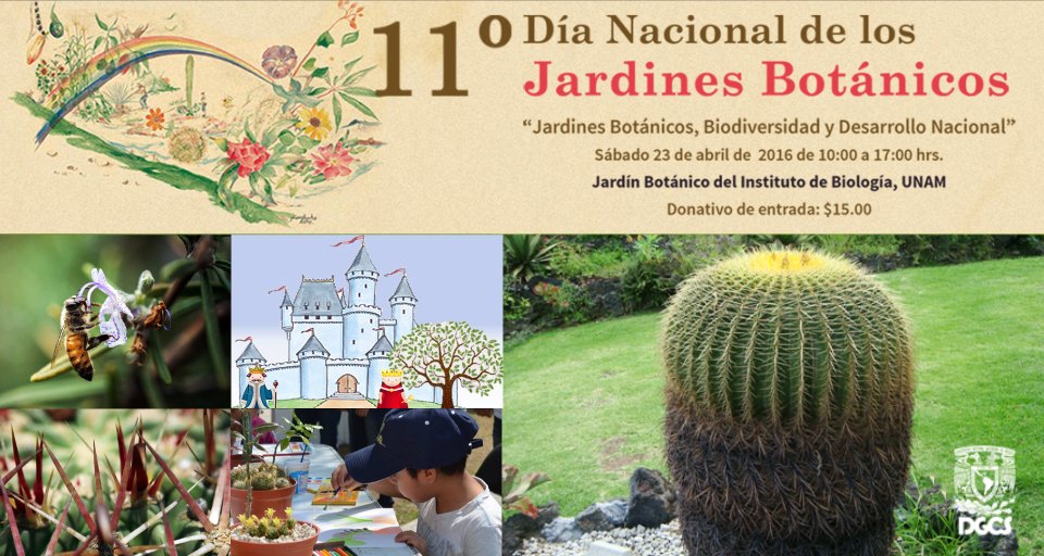 UNAM_MX's tweet photo. Adopta una planta en peligro de extinción, Día Nacional de Jardines Botánicos @JBUNAM > https://t.co/kUIq6WkQyH https://t.co/AgNdR7lqLQ