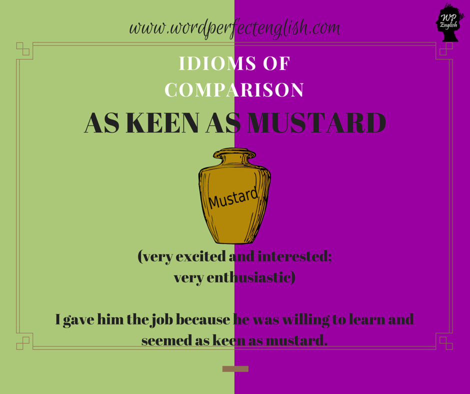 LiamEdTech's tweet photo. Improve your vocabulary and learn new idioms! :) #learningenglish #englishidioms #englishphrases #wordperfectenglish https://t.co/BTsOTrrdet