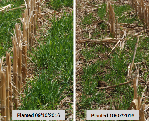 Rowbot Systems tweet media