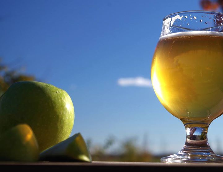 DNACider's tweet photo. “With cider, you plant an apple tree and you have apples for 70 years” #EarthDay
 https://t.co/5Ta4LRKRwg https://t.co/l3ShwRgL5z