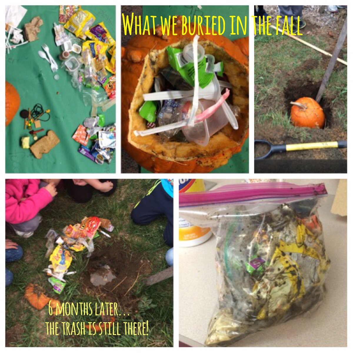 JoeleeSizemore's tweet image. My class has been looking forward to today since the fall! #earthdayscience #lovemy1stgraders #giveahootdontpollute