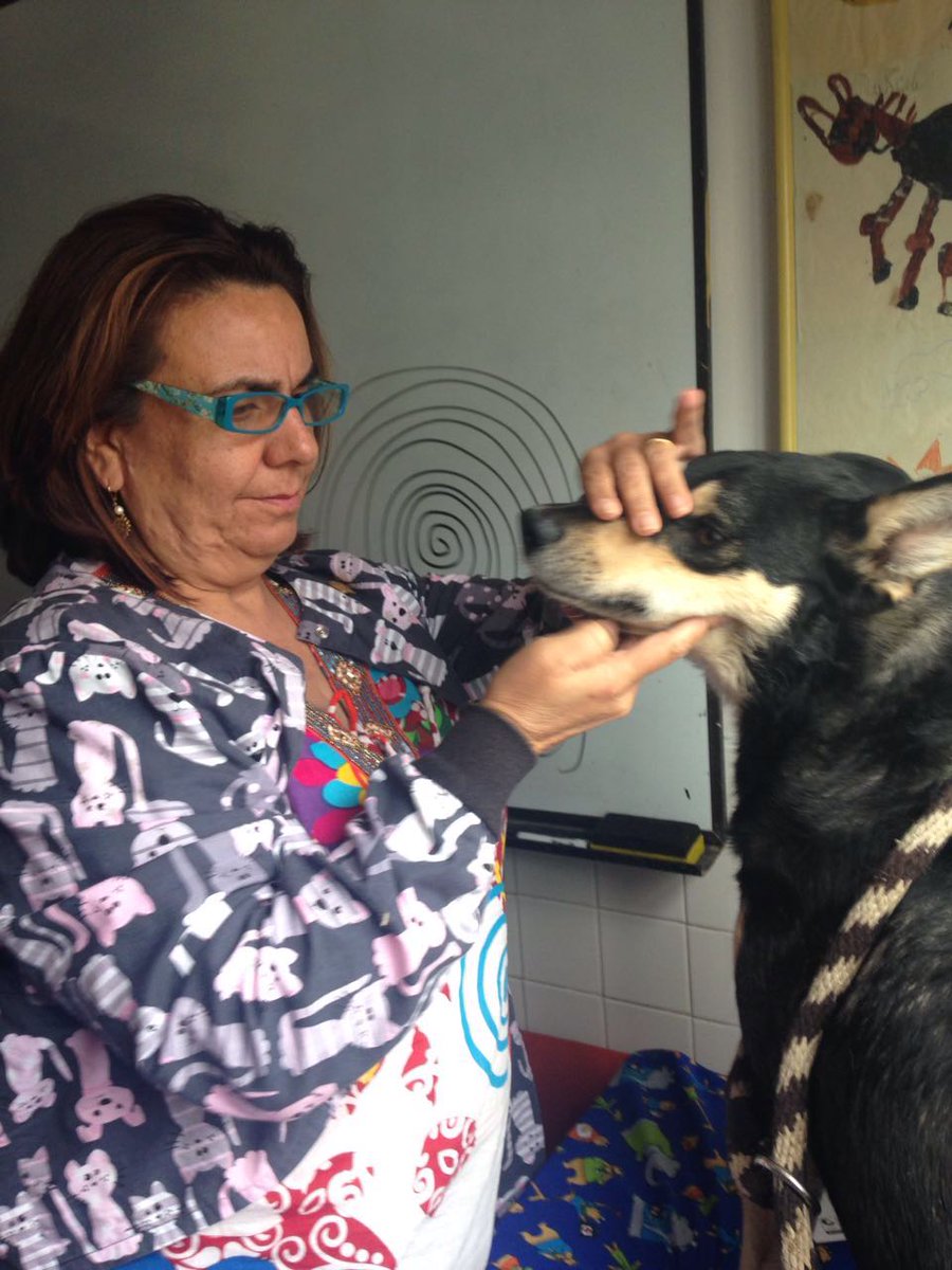ReddeapoyoV's tweet photo. SAMI en el Centro de Zoonosis PRIMERO en recibir consulta homeopática con la Dra Marcela Muñoz Montoya @ReddeapoyoV https://t.co/bXmyDYTgeY