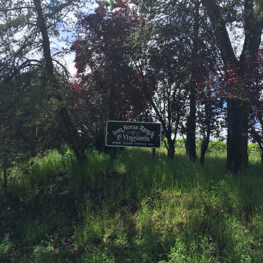 Iron Horse Vineyards, Sonoma. Pleased I have satnav. This is the middle of nowhere.