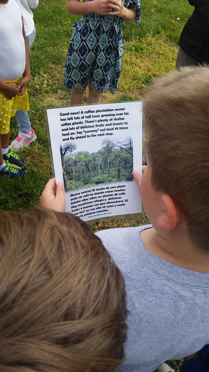 perezartlove's tweet photo. 2nd graders had fun learning about migratory birds @APS_ATS @MrsFlyntATS @MrsFullerATS @MrsSwainATS #EarthDay https://t.co/l8m9OvQCuk