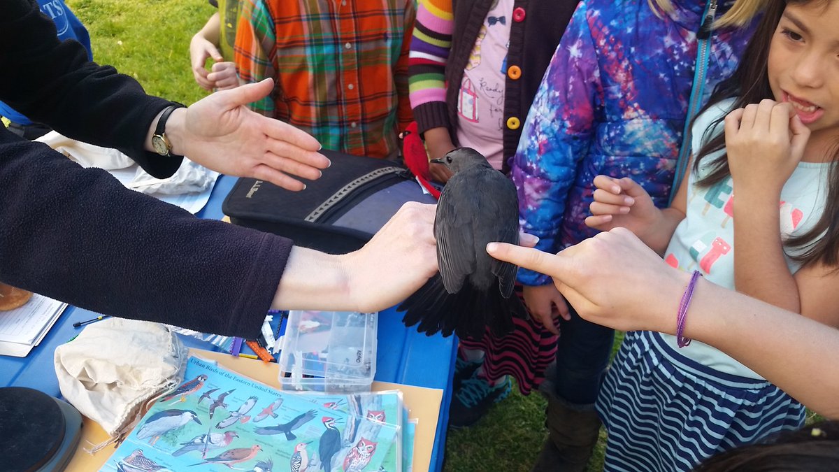 perezartlove's tweet photo. 2nd graders had fun learning about migratory birds @APS_ATS @MrsFlyntATS @MrsFullerATS @MrsSwainATS #EarthDay https://t.co/l8m9OvQCuk