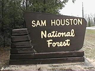 _SamHouston_'s tweet photo. This is one well-named National Forest! https://t.co/6owN905syR