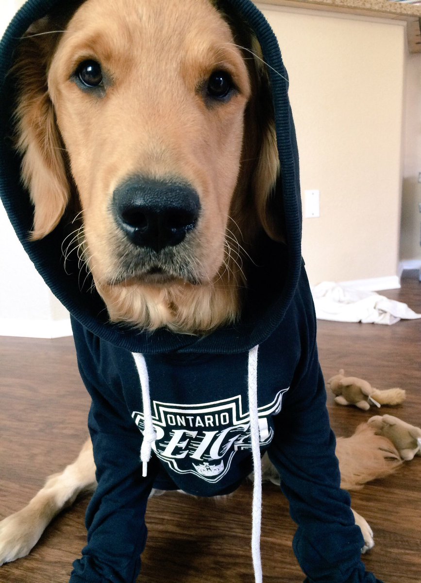 Paige Dowd tweet media