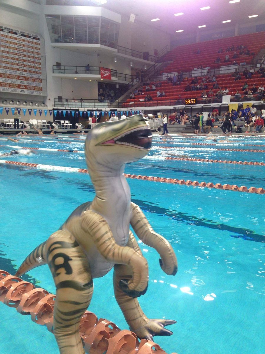 UtahSwimming's tweet photo. Rocky the raptor is the mascot for #WZAG2016 being hosted by Utah swimming make sure you look for him at your meets! https://t.co/ChAPR0Jy7X