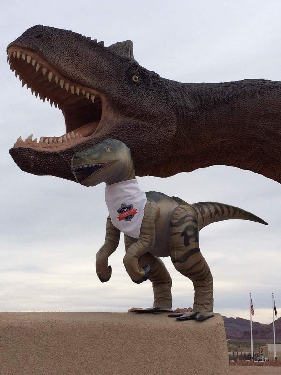 UtahSwimming's tweet photo. Rocky the raptor is the mascot for #WZAG2016 being hosted by Utah swimming make sure you look for him at your meets! https://t.co/ChAPR0Jy7X