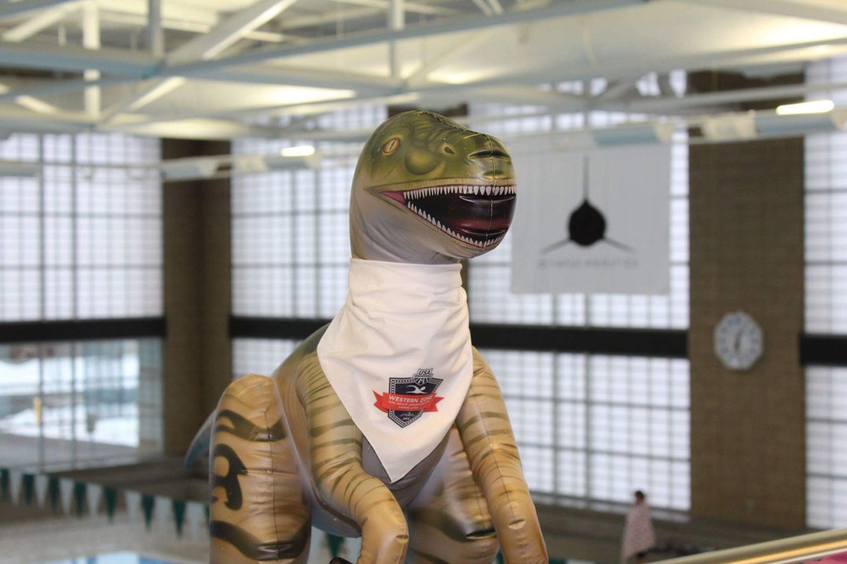 UtahSwimming's tweet photo. Rocky the raptor is the mascot for #WZAG2016 being hosted by Utah swimming make sure you look for him at your meets! https://t.co/ChAPR0Jy7X