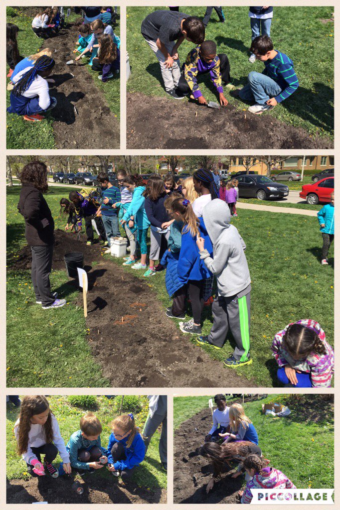 MrsDiviacchi's tweet photo. Earth Day Planting Wildflowers #mannschool #oakpark97 https://t.co/MdNLkIm1W0