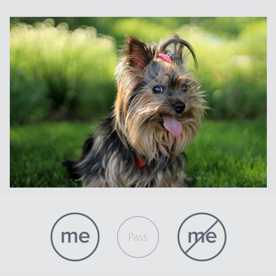 ME or NOT ME? Express yourself here ➵ buff.ly/25rCIEN #photopinions